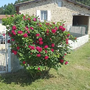 Appartement Au Cœur De La Nature, Bren