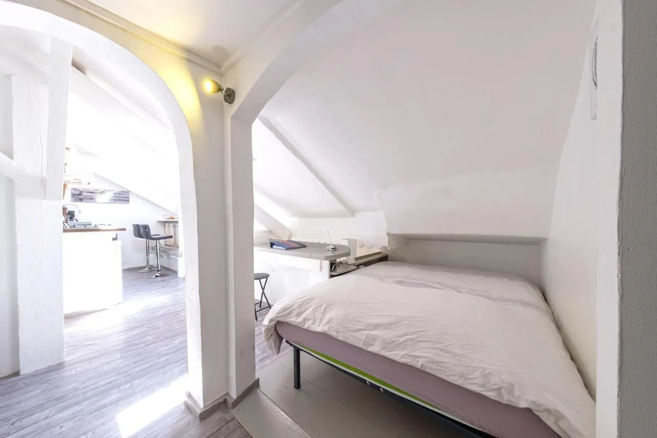 Appartamento Studio DUPLEX 27m2, Lit double, Calme et Cosy, NETFLIX , WIFI, Parking, Hypercentre a 400m, arrivée tardive possible avec boite à clés Albertville